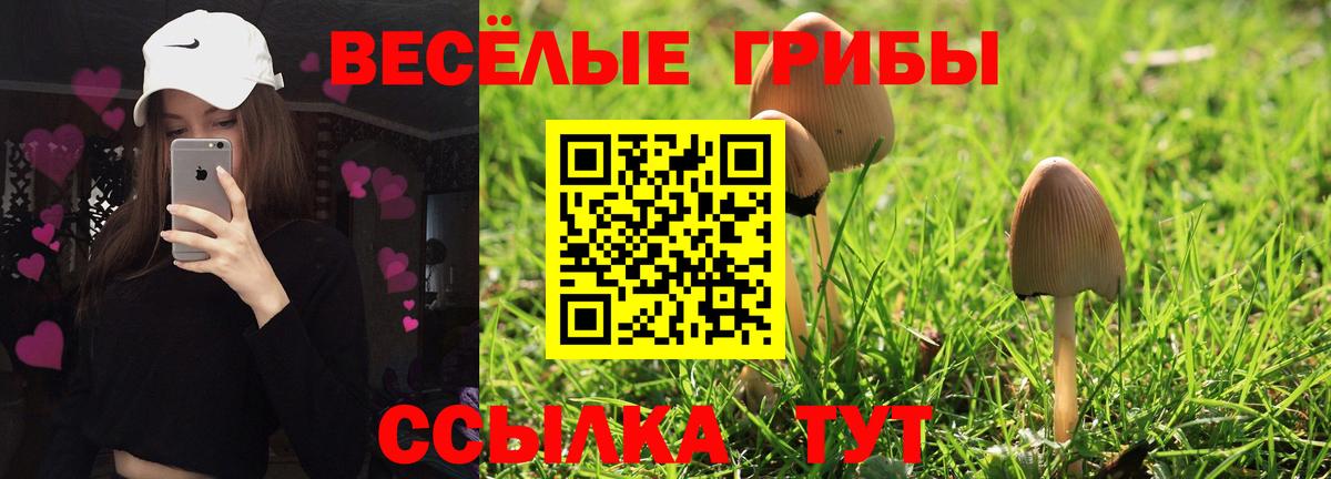 Энгельс  Галлюциногенные грибы прущие грибы  Вход с VPN 